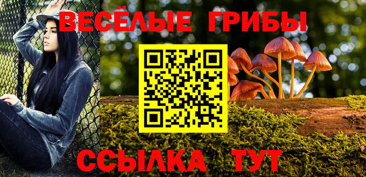 Галлюциногенные грибы мухоморы Горно-Алтайск