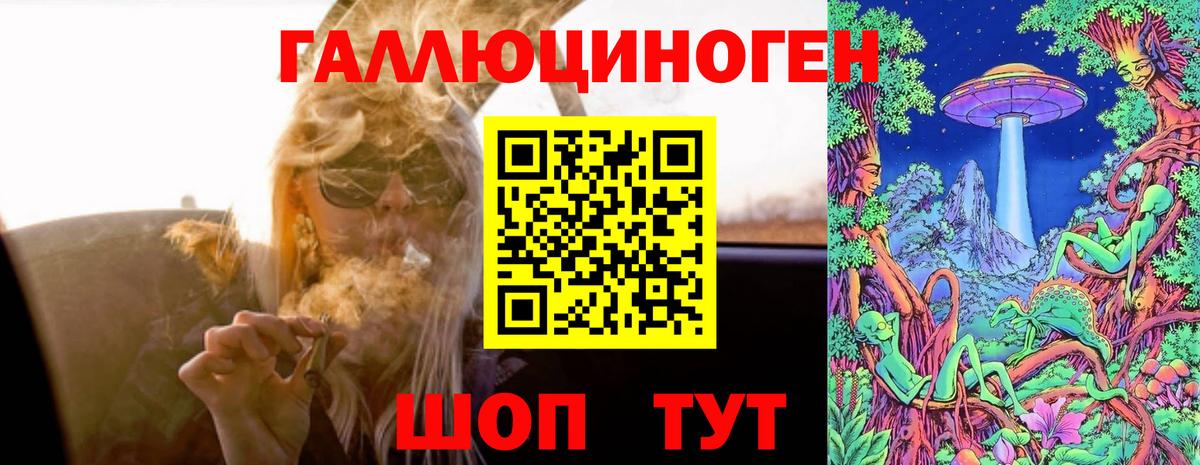 Горно-Алтайск  Галлюциногенные грибы Psilocybe  где купить наркоту  Галлюциногенные грибы мицелий  Вход с VPN 